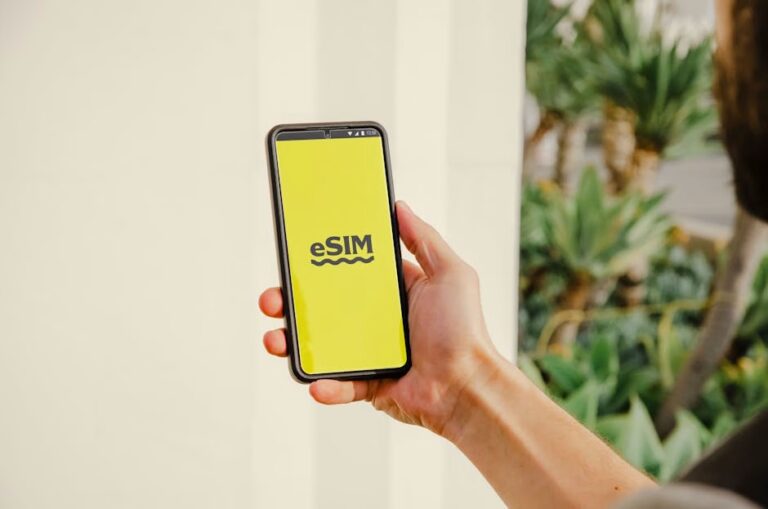 virtual phone number providers