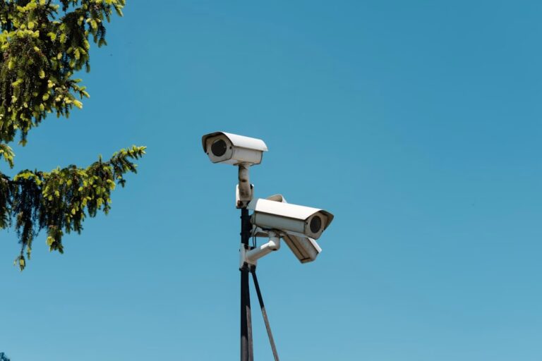surveillance camera systems for business